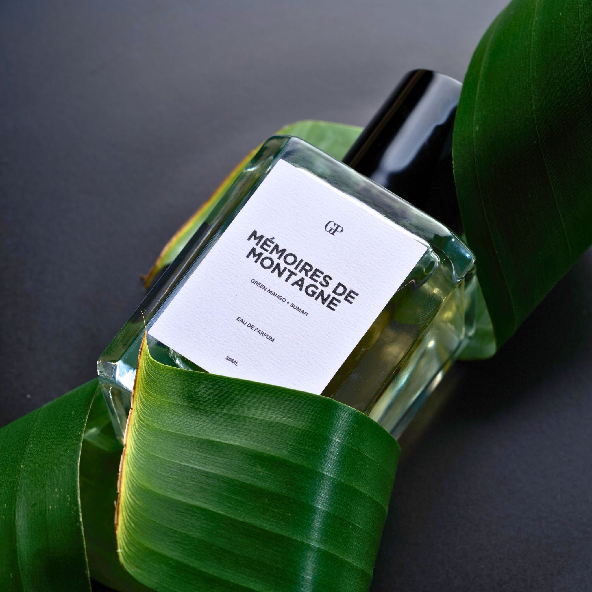 GP Memoires de Montagne Eau de Parfum 50ML - Dreamer Collection